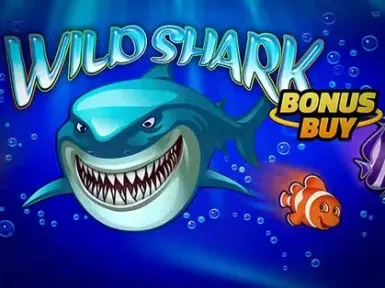 Golden Mister Casino screenshot